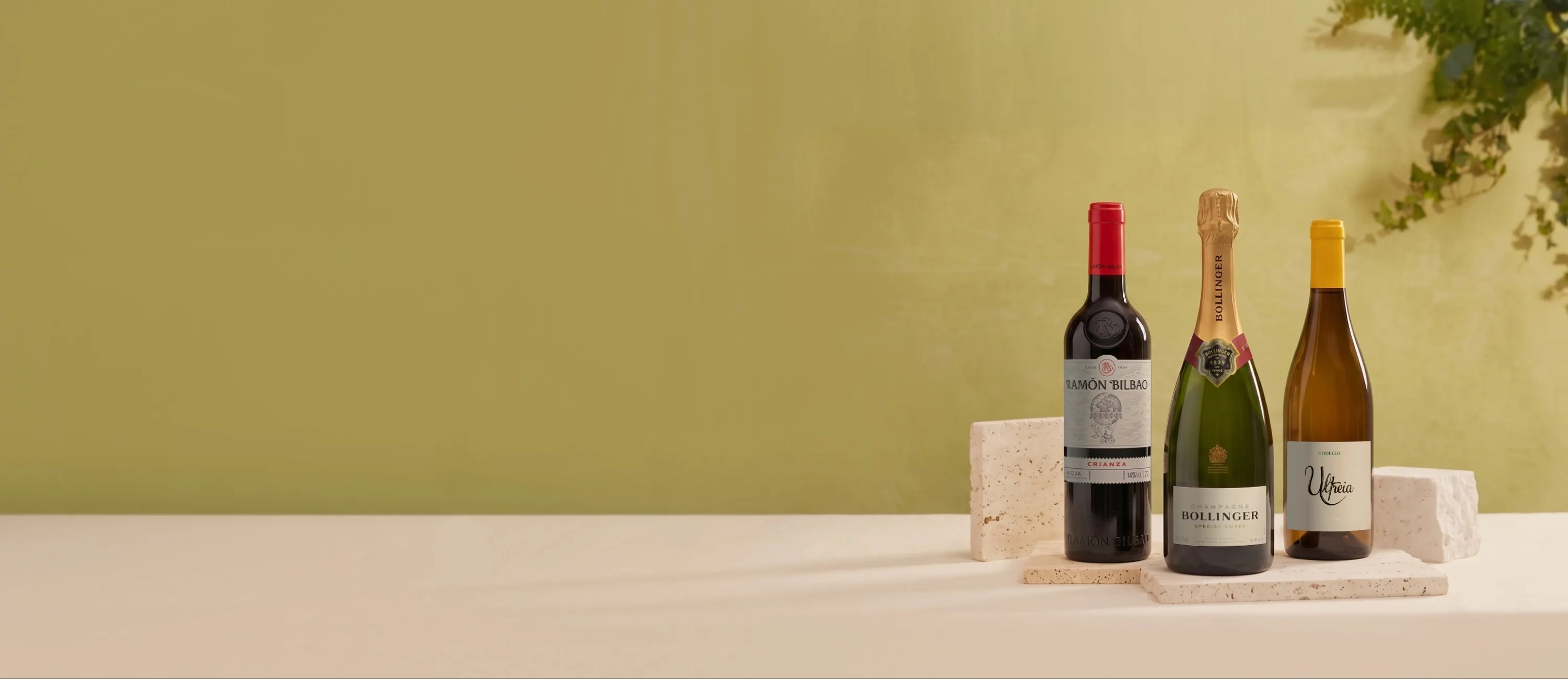 Botellas de vino y champagne en rebajas