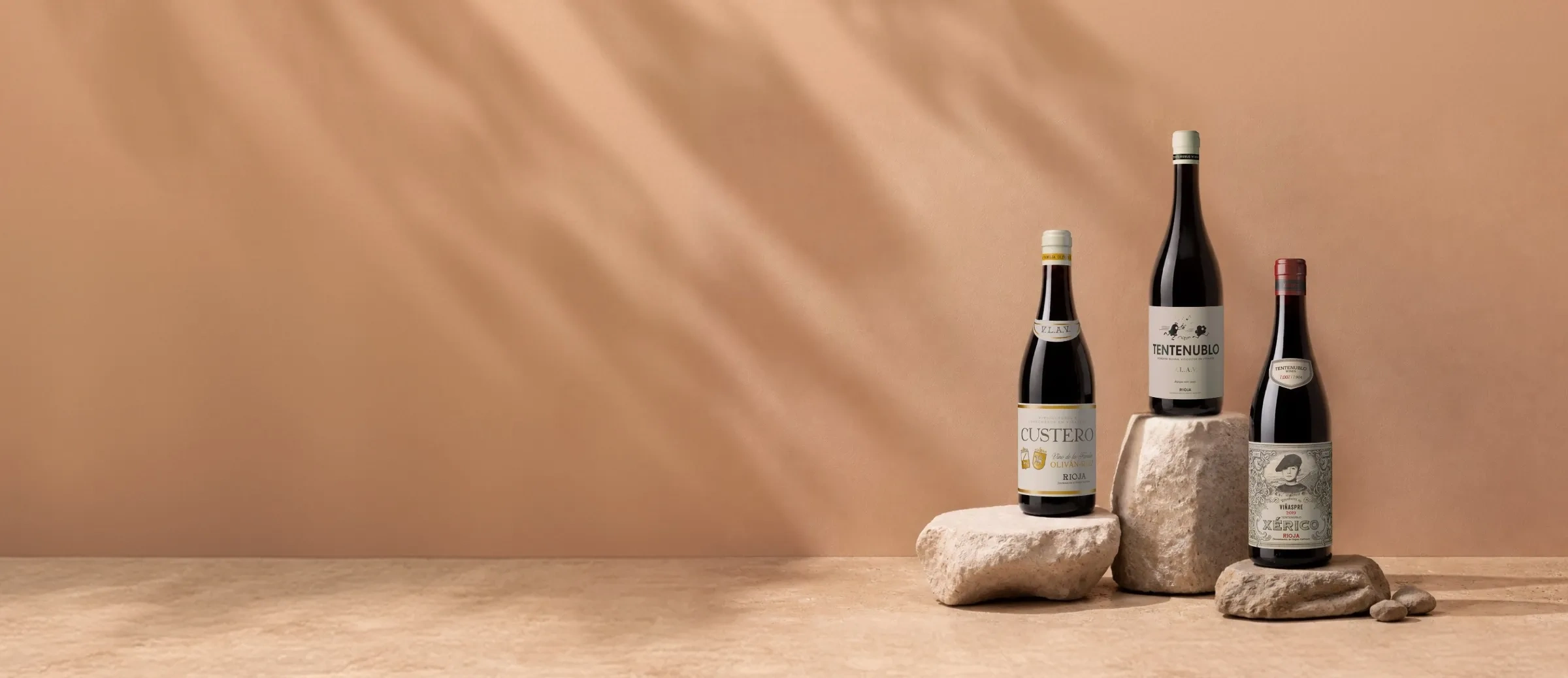 Botellas de vino de la bodega Tentenublo Wines