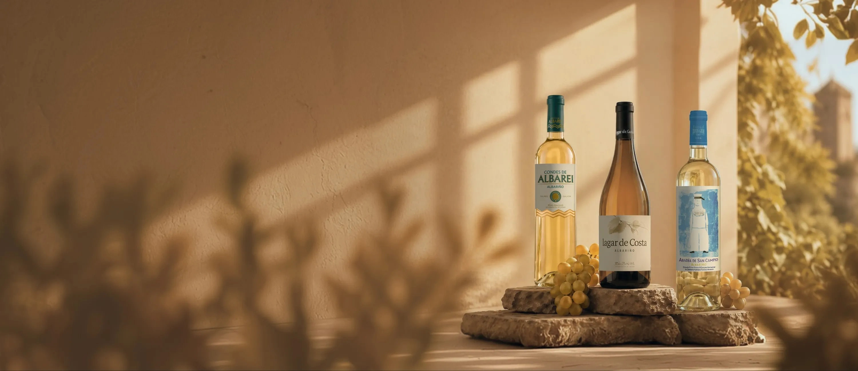 Botellas de vino albariño ganadores de la XV Edición del Túnel del Vino Profesional