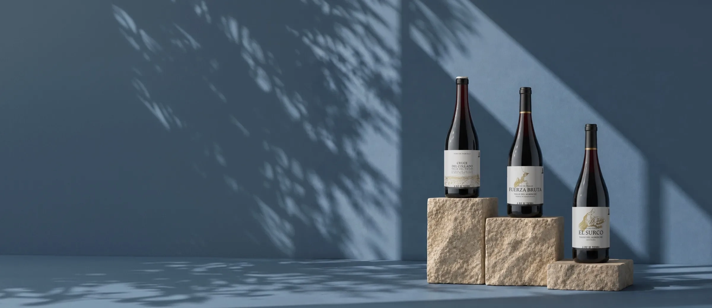 Botellas de vino de la bodega A Pie de Tierra