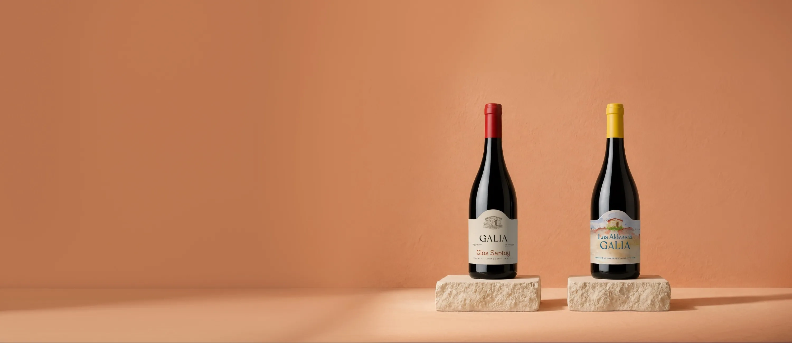 Botellas de vino de la bodega Galia Soriana