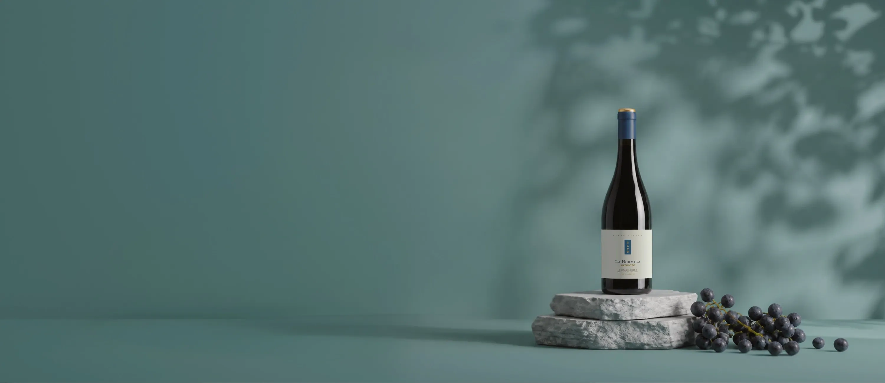 Botella de vino La Hormiga de Antídoto 2022