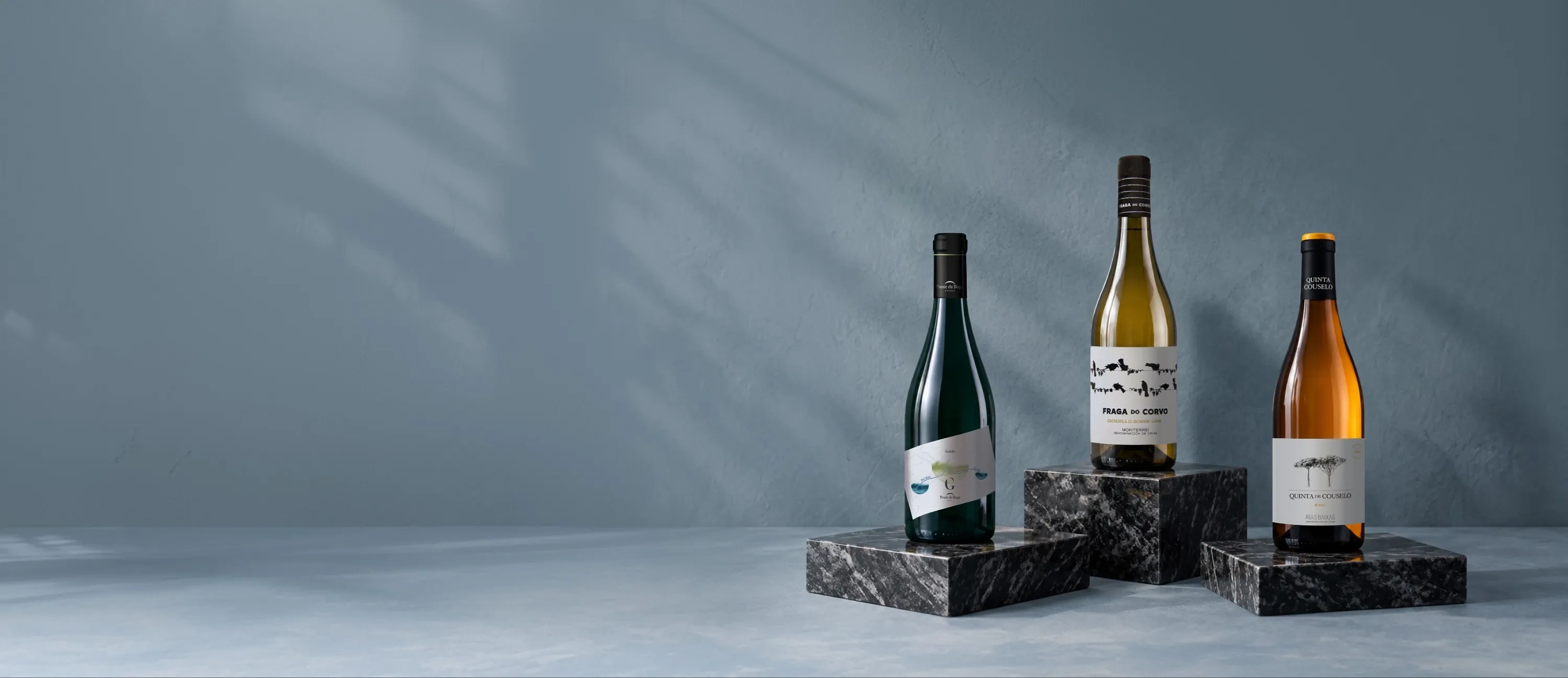Botellas de vino Grandes Pagos Gallegos