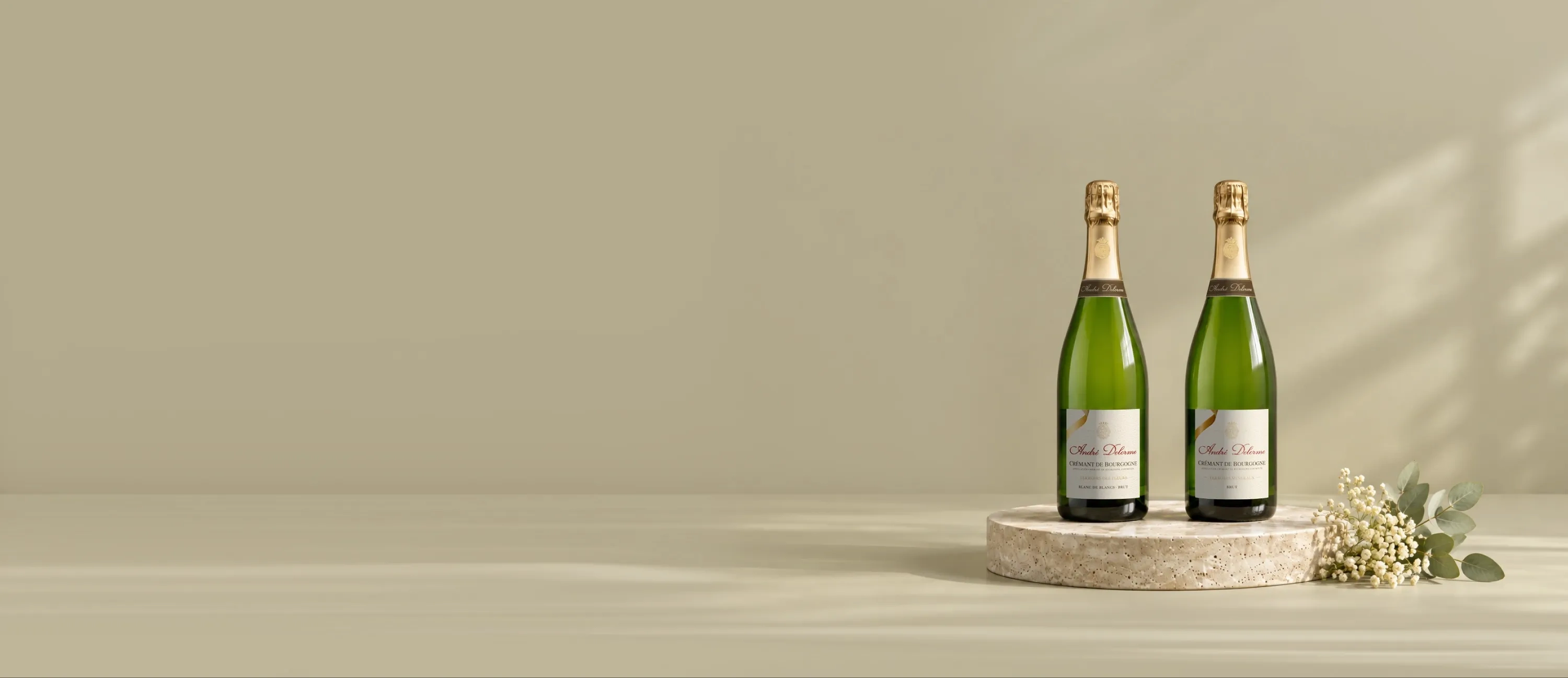 Botellas de champagne André Delorme