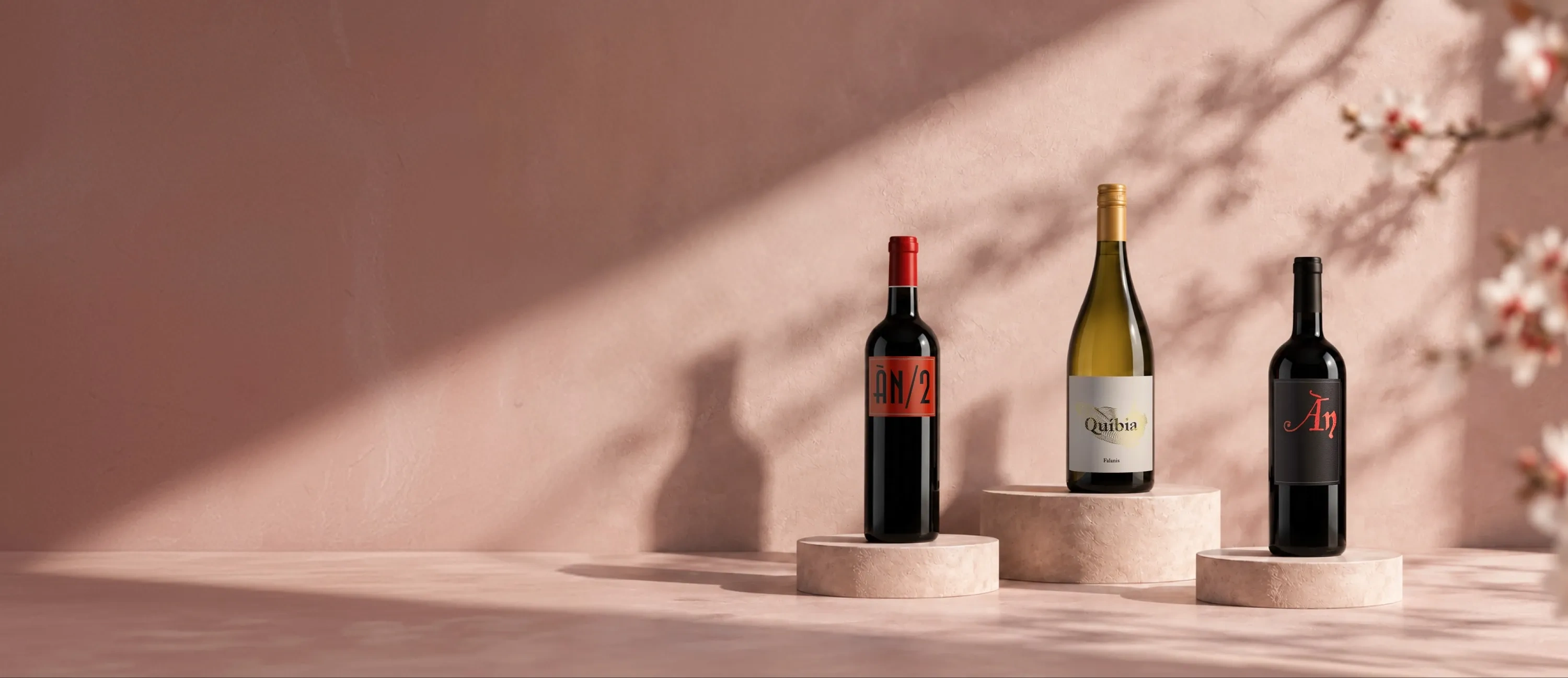 Botellas de vino de la bodega Ànima Negra