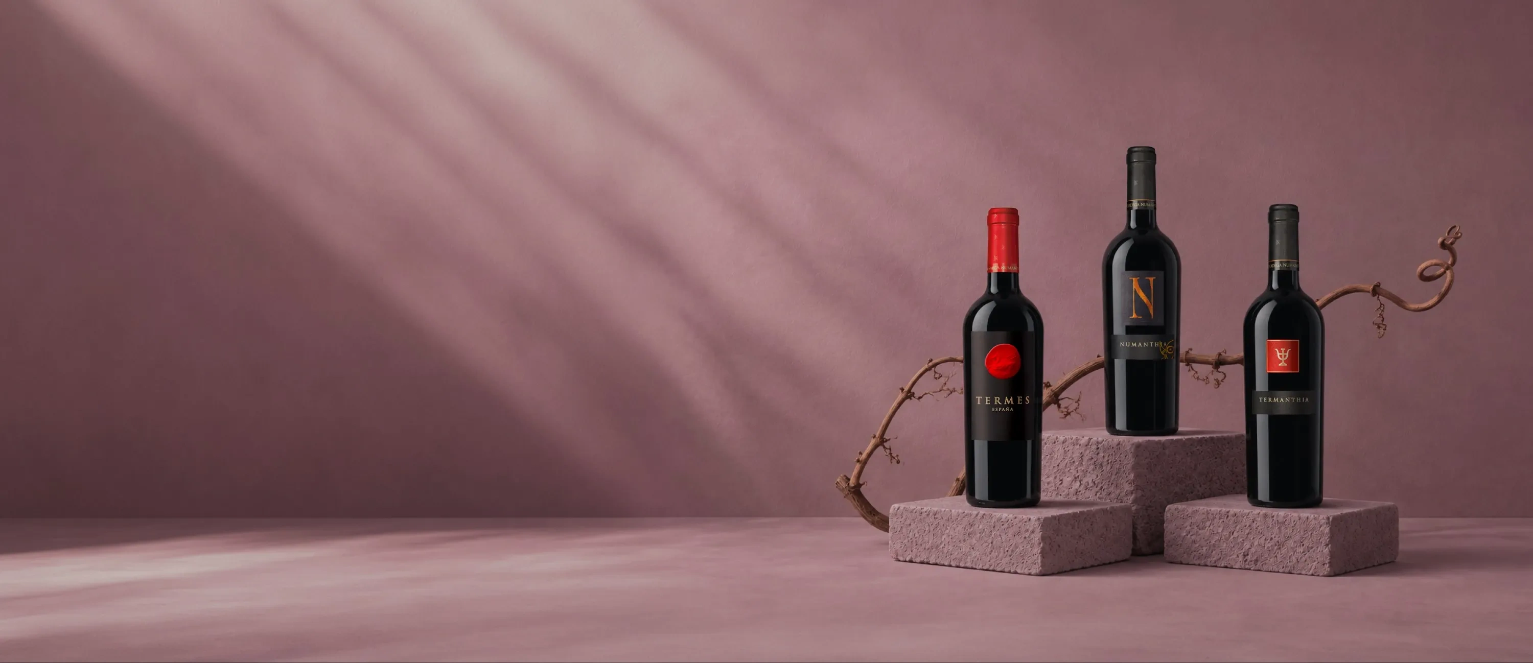 Botellas de vino de la bodega Numanthia