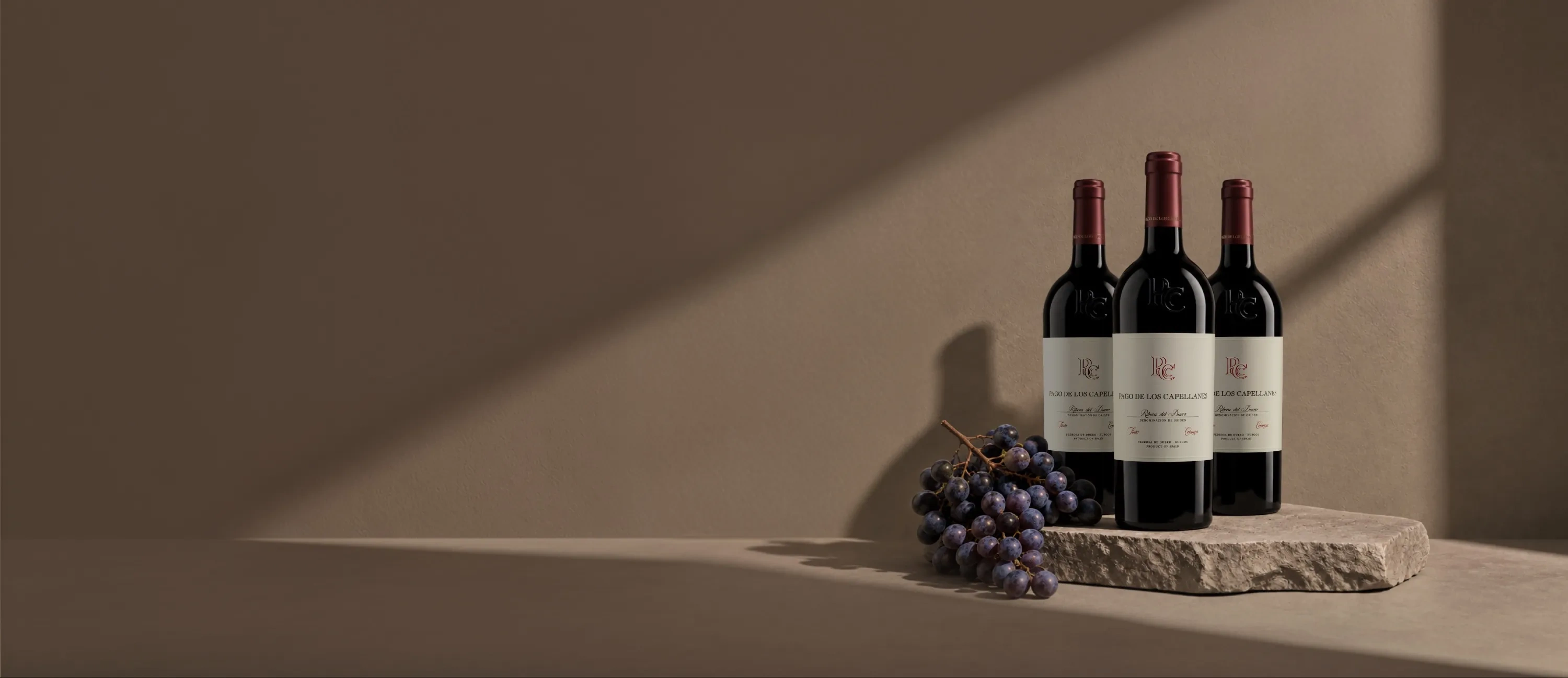 Pack de tres botellas de vino Pago de los Capellanes Crianza 2024