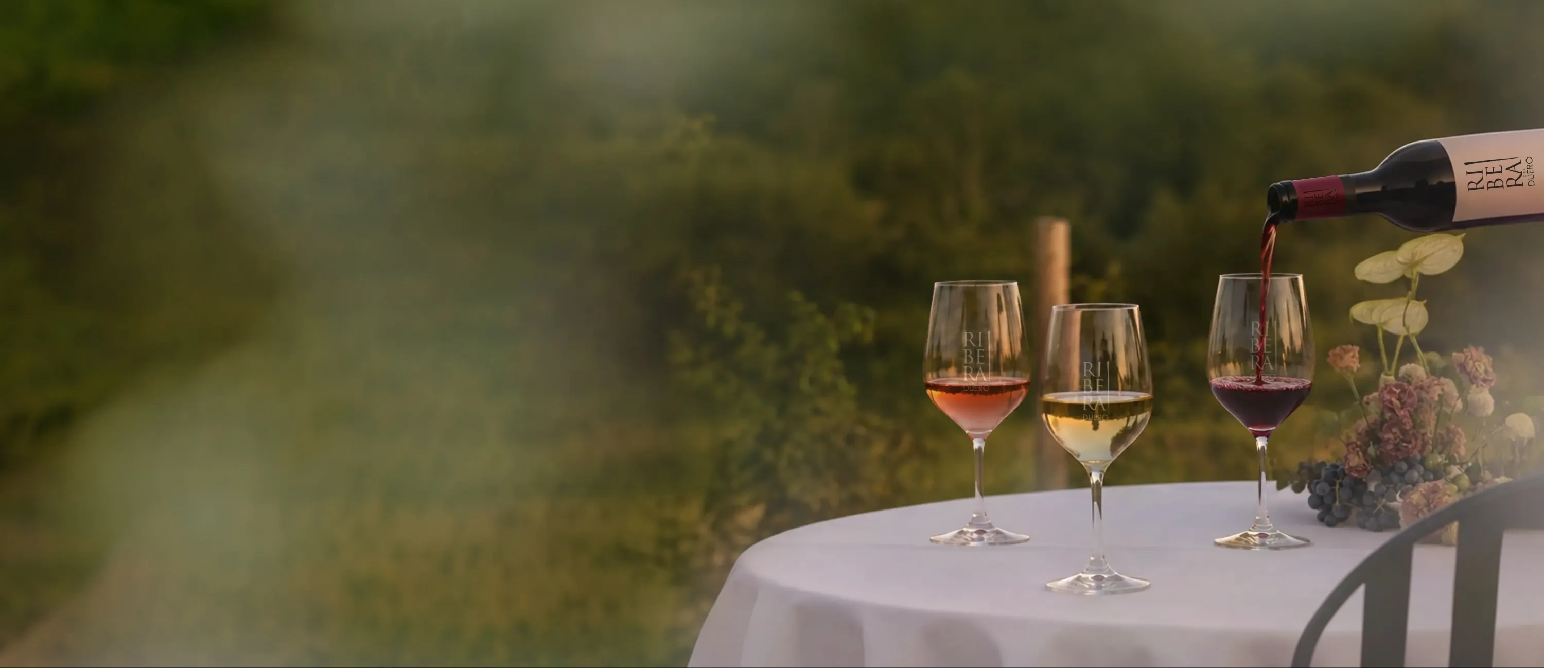 Copas de vino de Ribera del Duero