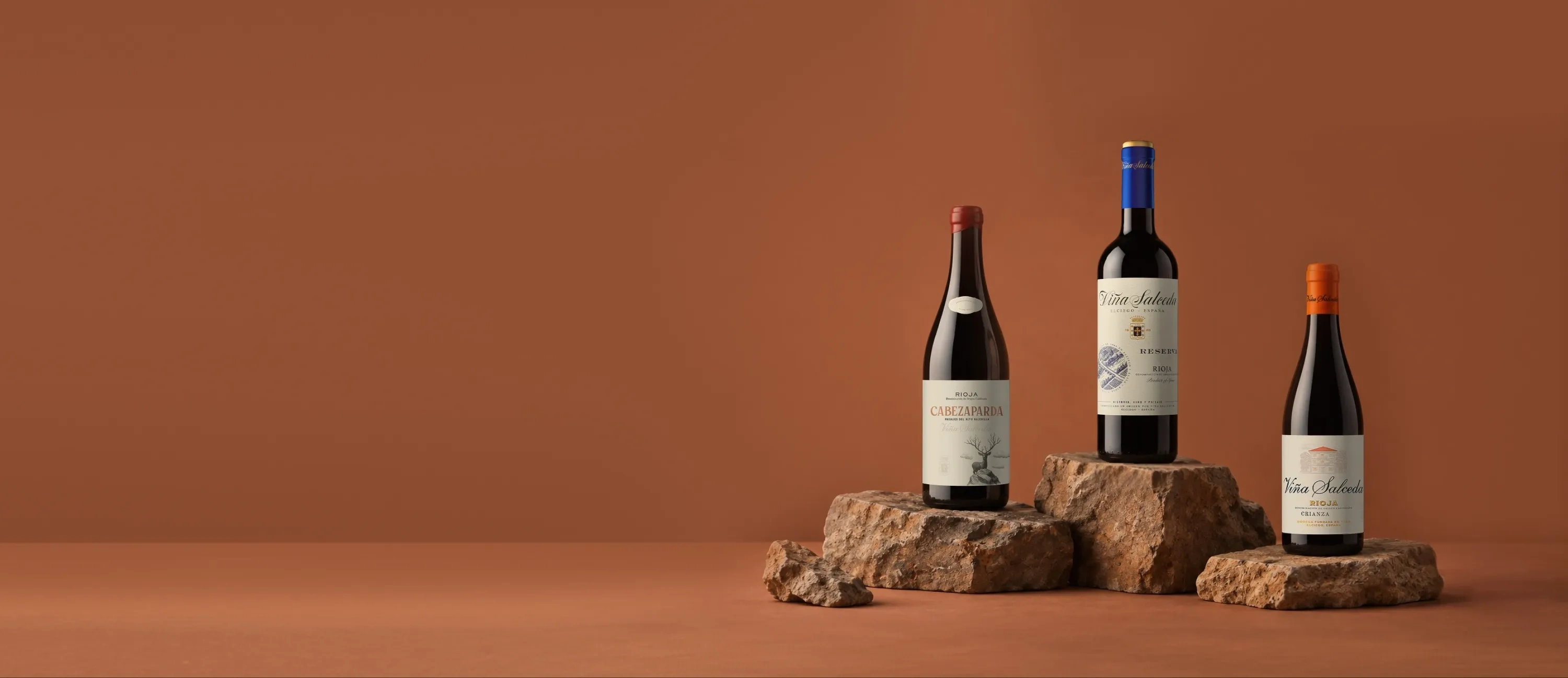 Botellas de vino de la bodega Viña Salceda
