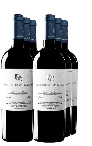 Pago de Los Capellanes Joven 2011 (caja de 6 vinos)
