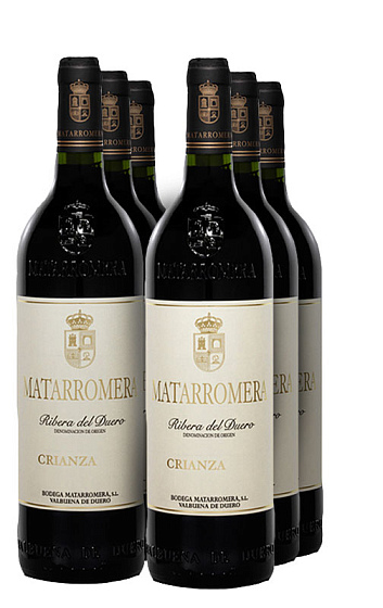 Matarromera Crianza 2010 (x6)