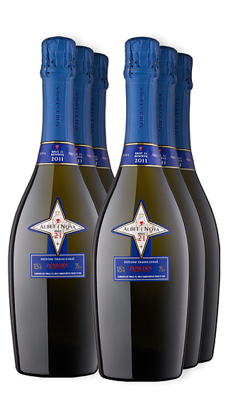Albet i Noya Brut 21 (x6)