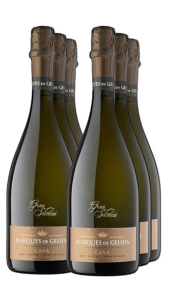 Gran Selecció Brut Nature GR 2010 (x6)