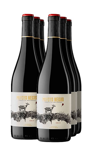 Payoya Negra 2013 (x6)