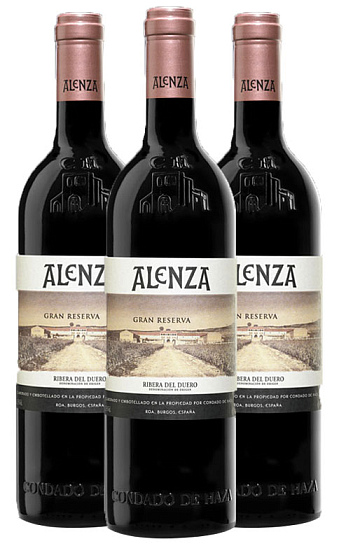 Alenza Gran Reserva 2006 (x3)