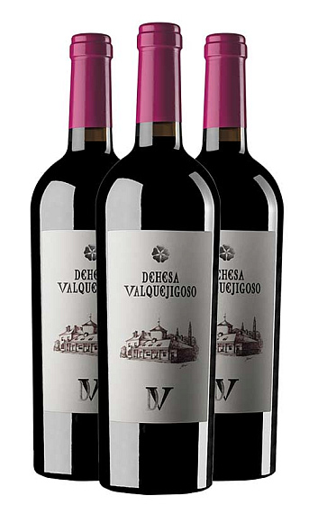 Dehesa de Valquejigoso 2010 (x3)