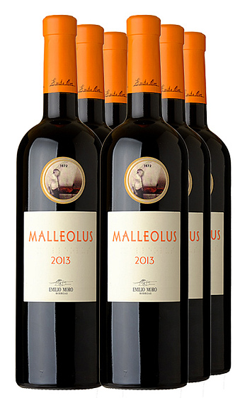 Malleolus 2013 (x6)