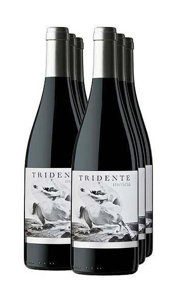 Tridente Mencía 2015 (x6)