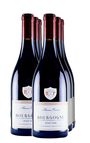 Henri Pion Bourgogne Pinot Noir 2014 (x6)