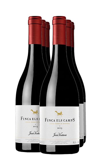 Finca Els Camps Ull de Llebre 2013 (x6)