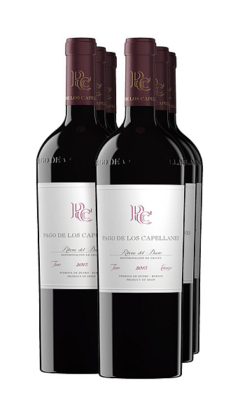 Pago de los Capellanes Crianza 2015 (x6)