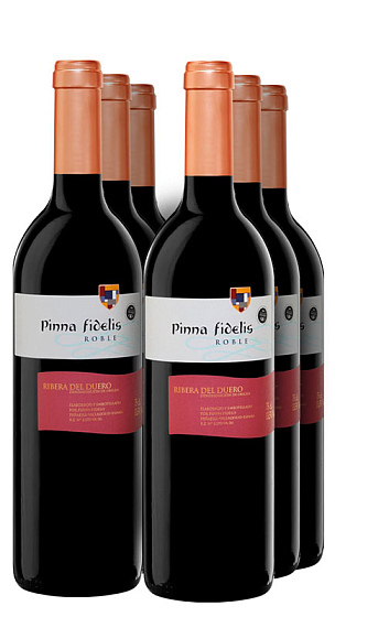 Pinna Fidelis Roble 2016 (x6)