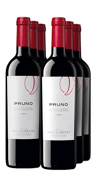 Pruno 2016 (x6)