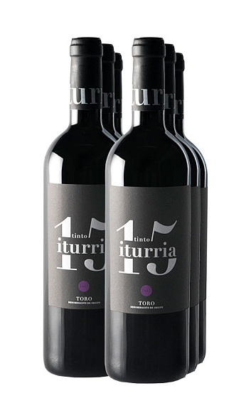 Tinto Iturria 2015 (x6)