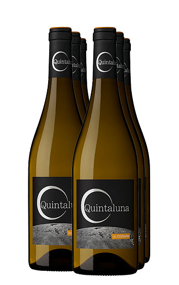 Quintaluna 2016 (x6)