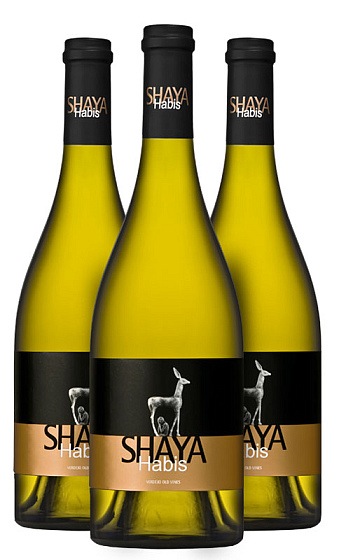 Shaya Habis 2017 (x3)