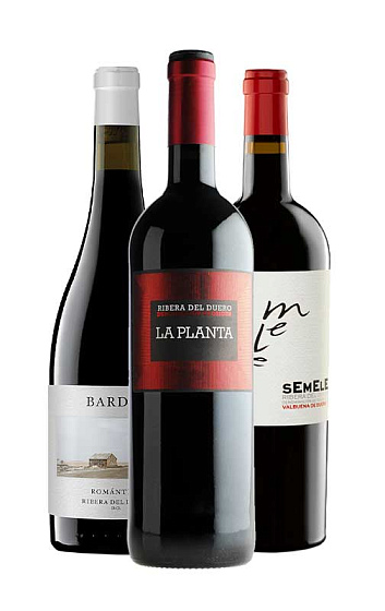 Pack Descobre a Ribera del Duero (x3)