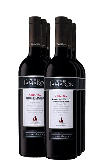 Altos de Tamarón Crianza 2016 (x6)