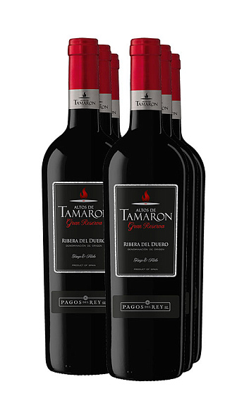 Altos Tamarón Gran Reserva 2011 (x6)