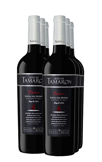 Altos de Tamarón Reserva 2014 (x6)