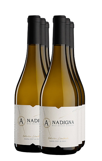 Anadigna Albariño 2017 (x6)