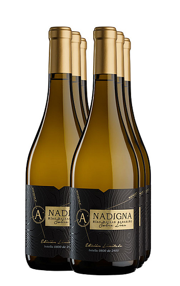 Anadigna Albariño Lías 2017 (x6)