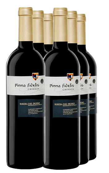 Pinna Fidelis Crianza 2016 (x6)