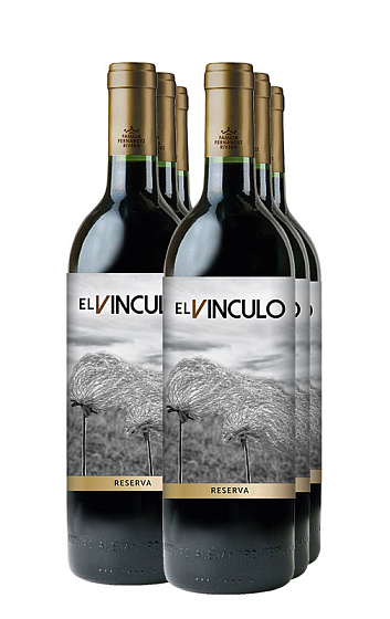 El Vínculo Reserva 2010 (x6)