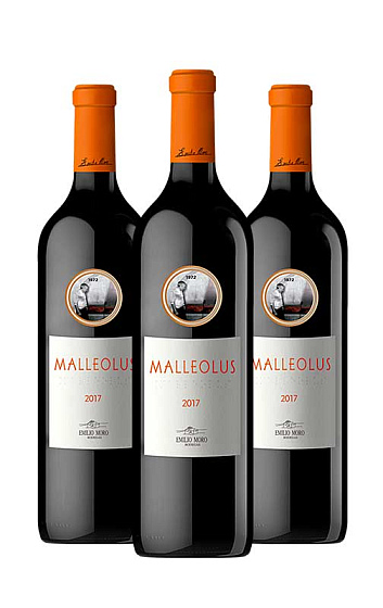Malleolus 2017 (x3)
