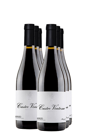 Castro Ventosa Valtuille 2017 (x6)