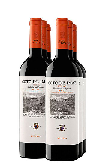 Coto de Imaz Reserva 2015 (x6)