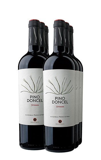 Pino Doncel 12 Meses 2017 (x6)