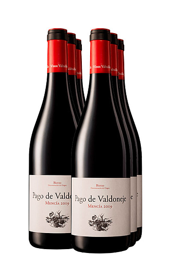 Pago de Valdoneje Mencía 2019 (x6)
