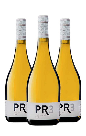 PR3 Barricas 2016 (x3)