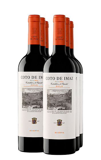 Coto de Imaz Reserva 2016 (x6)