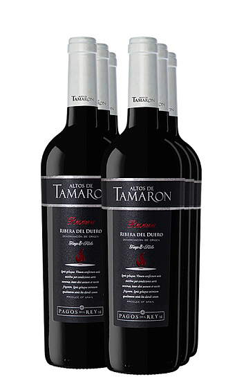 Altos de Tamarón Reserva 2016 (x6)