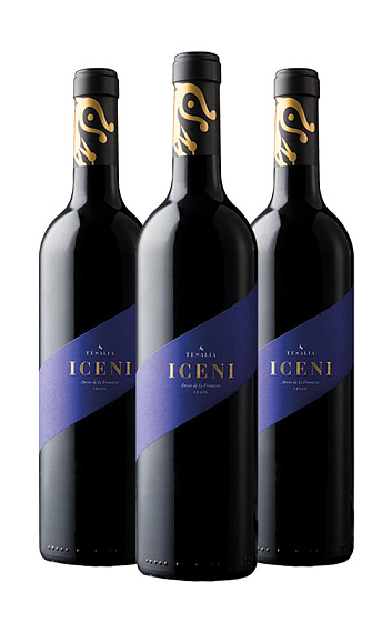 Iceni 2019 (x3)