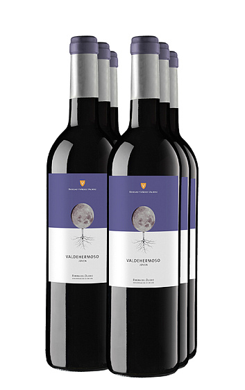 Valdehermoso Joven ECO 2021 (x6)