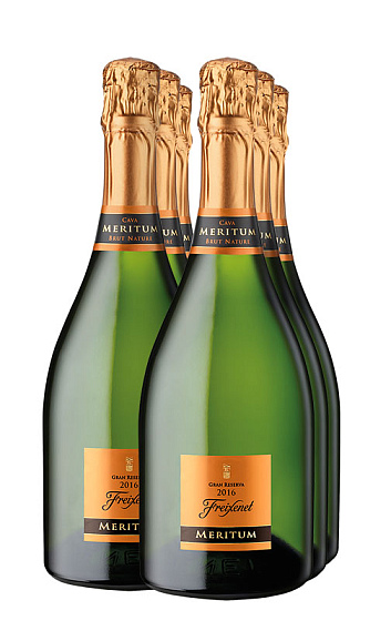 Freixenet Meritum Gran Reserva Brut Nature 2016 (x6)