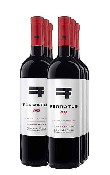 Ferratus AØ 2020 (X6)